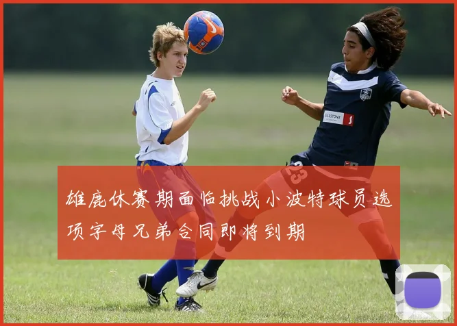 雄鹿休赛期面临挑战小波特球员选项字母兄弟合同即将到期